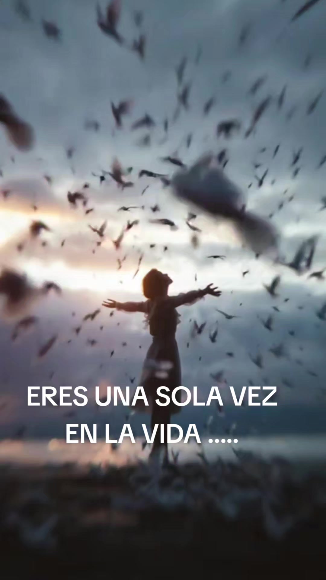 @ISA OCHOA