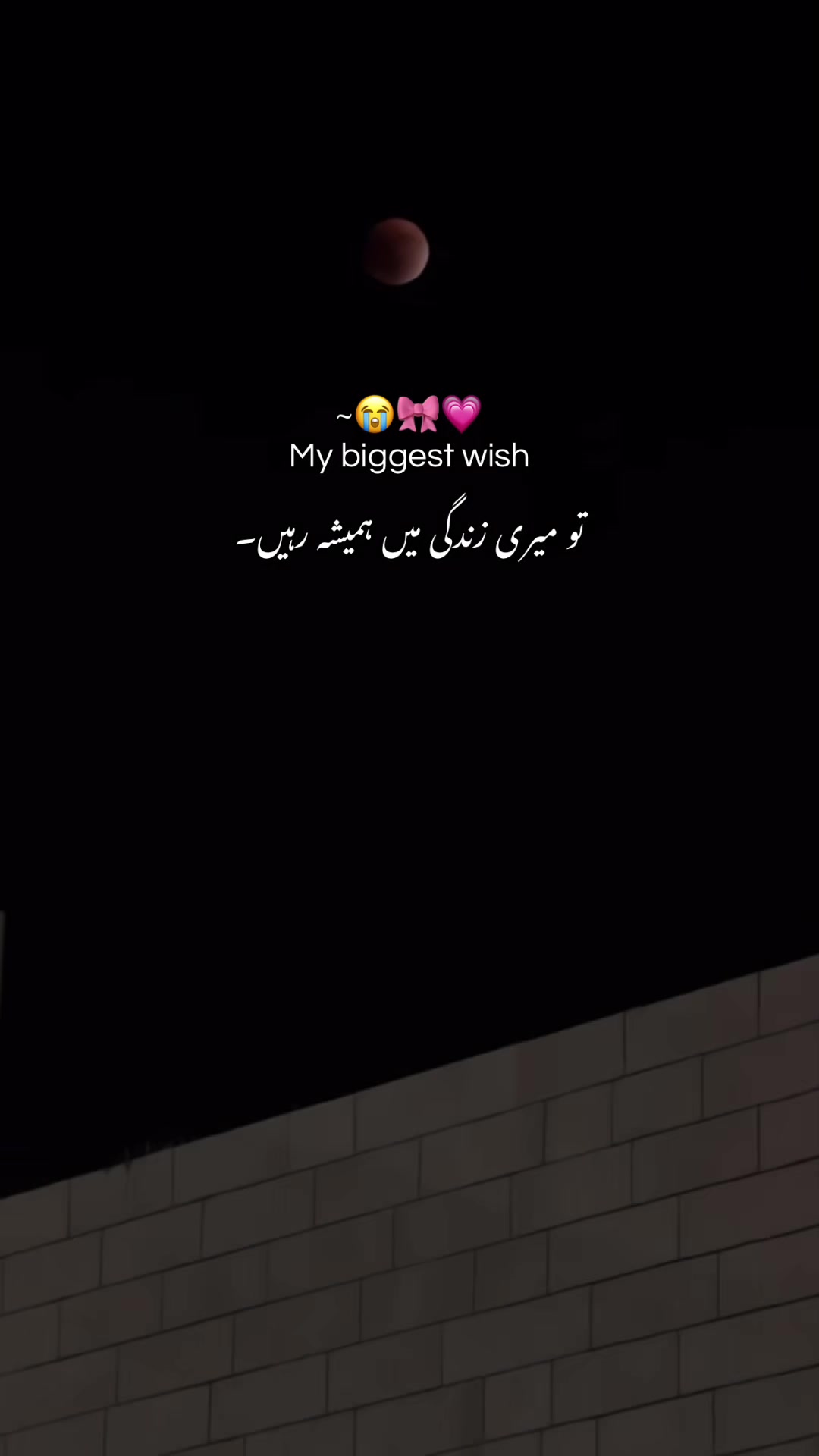 @𝐌🕷️