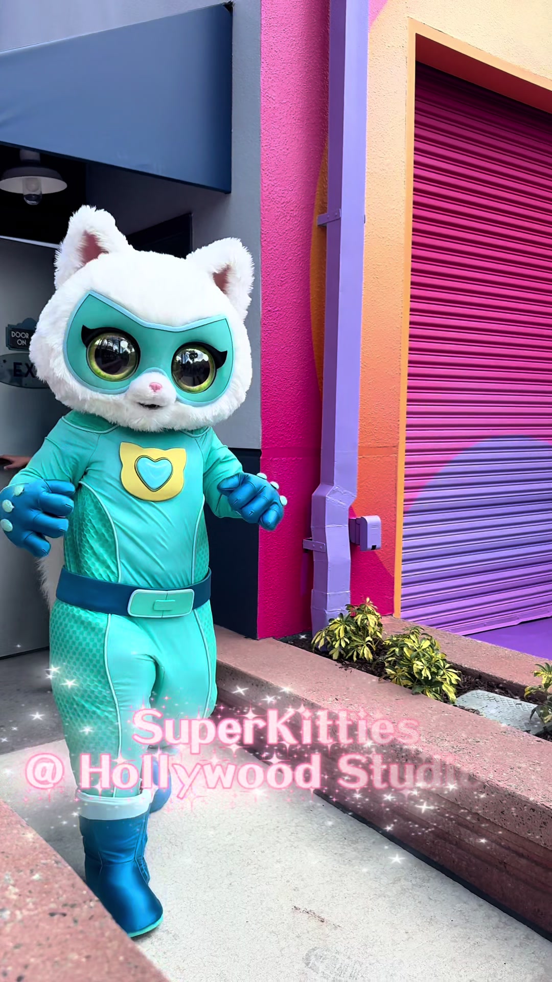 @DVCShop