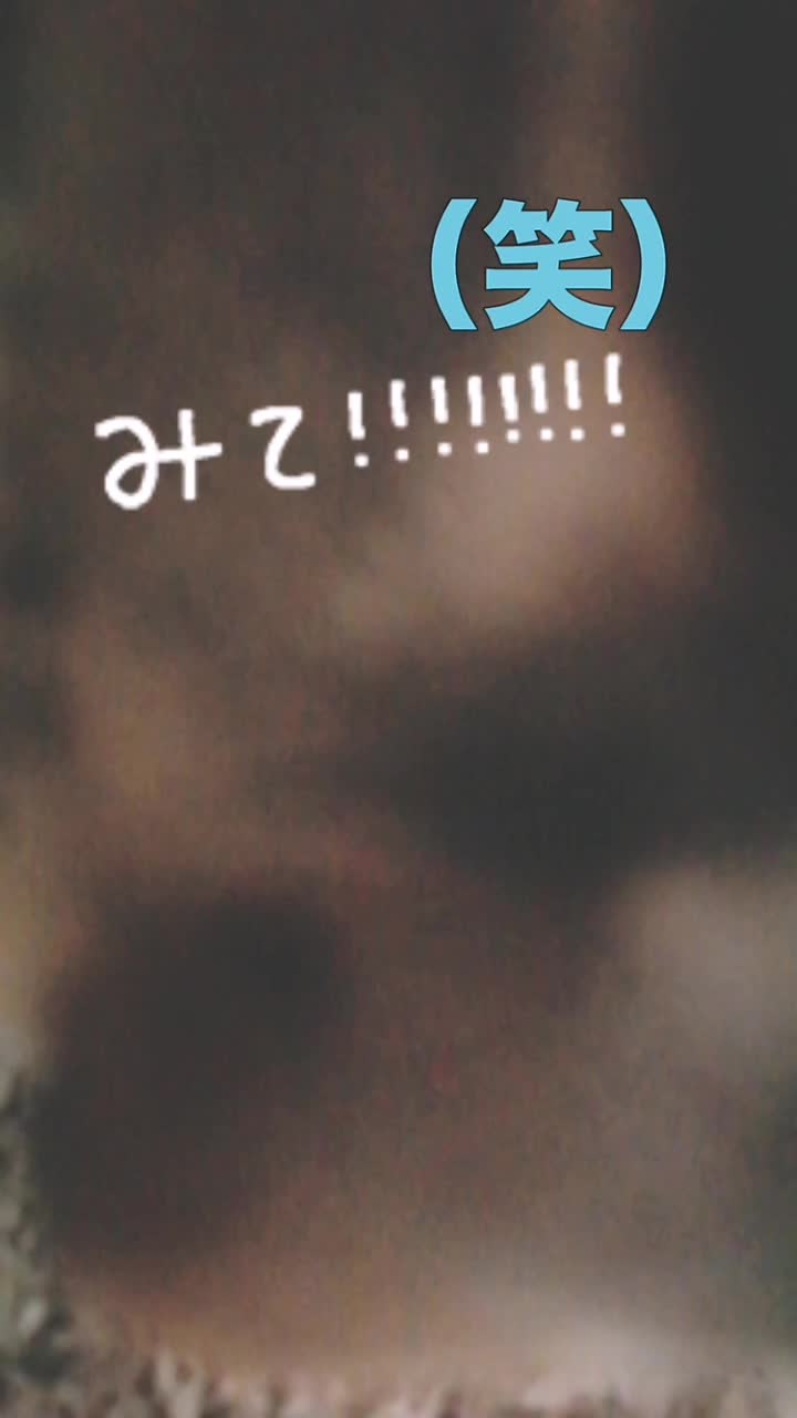 @モンチッチ大好き星人