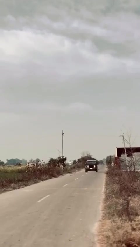 @Cheemay46