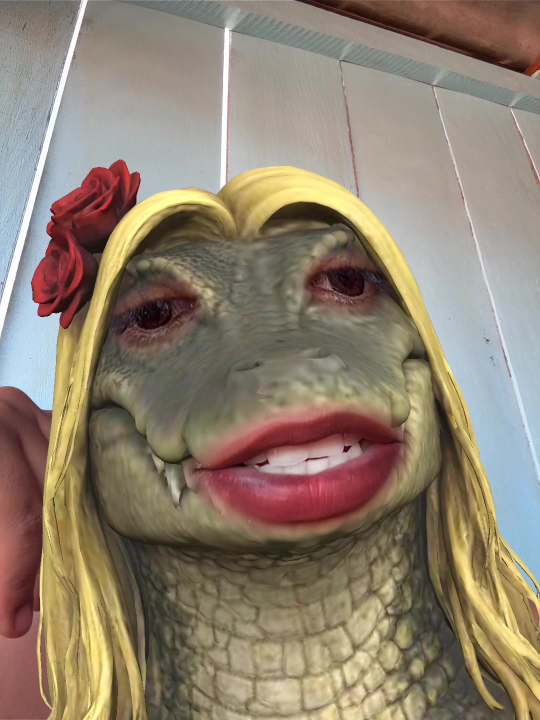 @cuca_da_mata