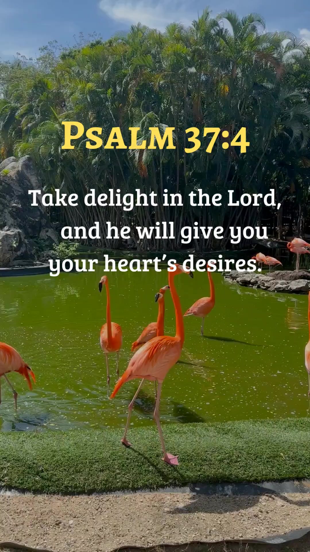 @Faith, Love and Life