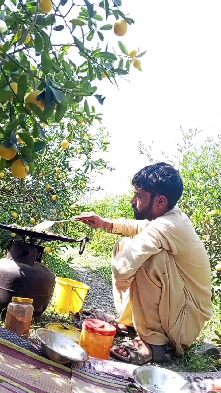 @muhaibkhan9696