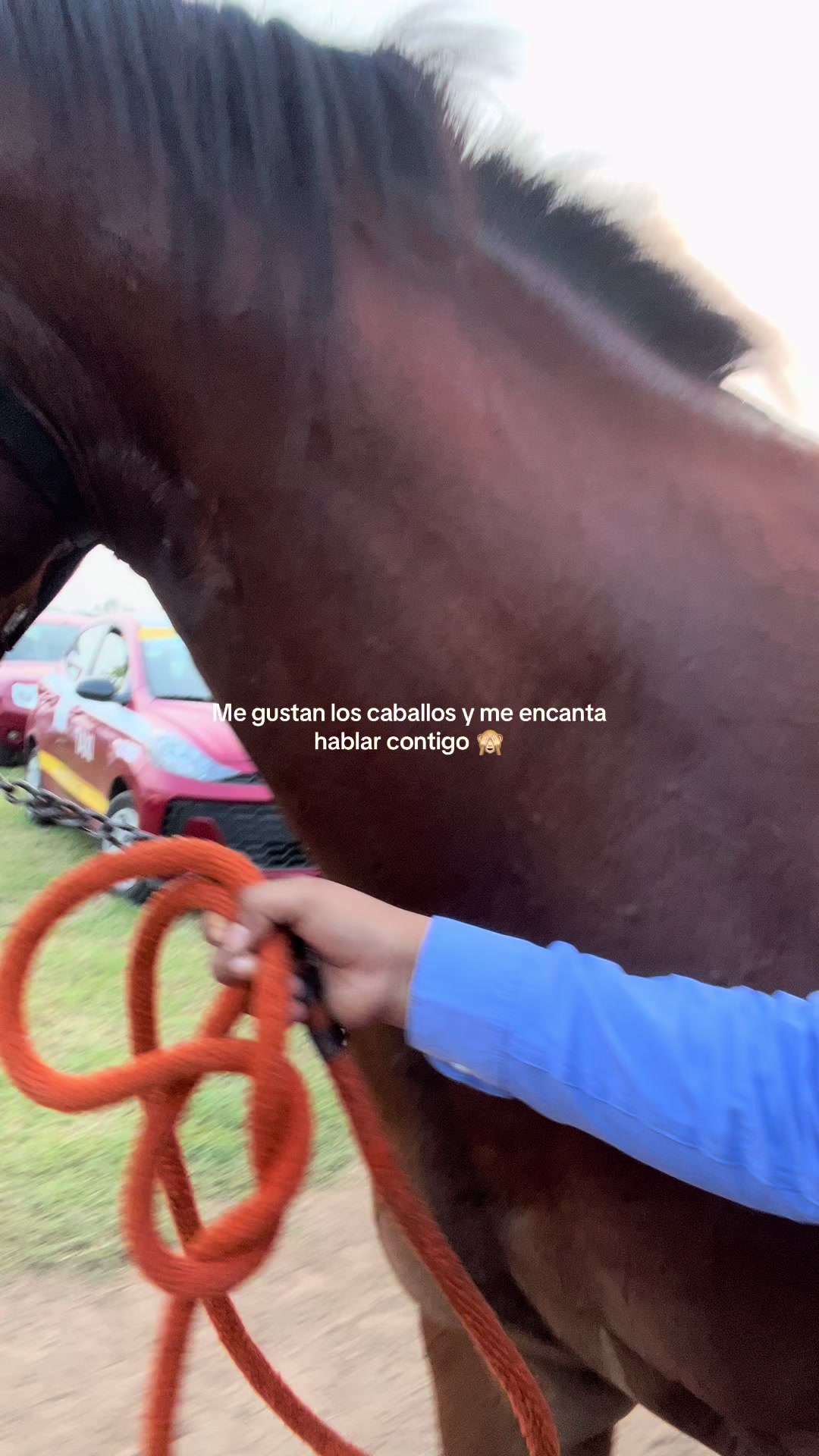 @Araceli García 🏇