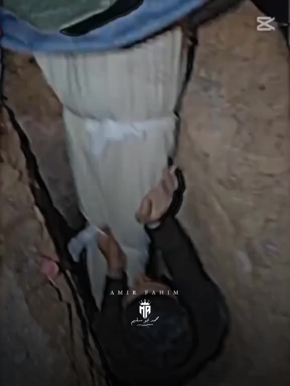 @زياد الاسد 🦁🦁🦁