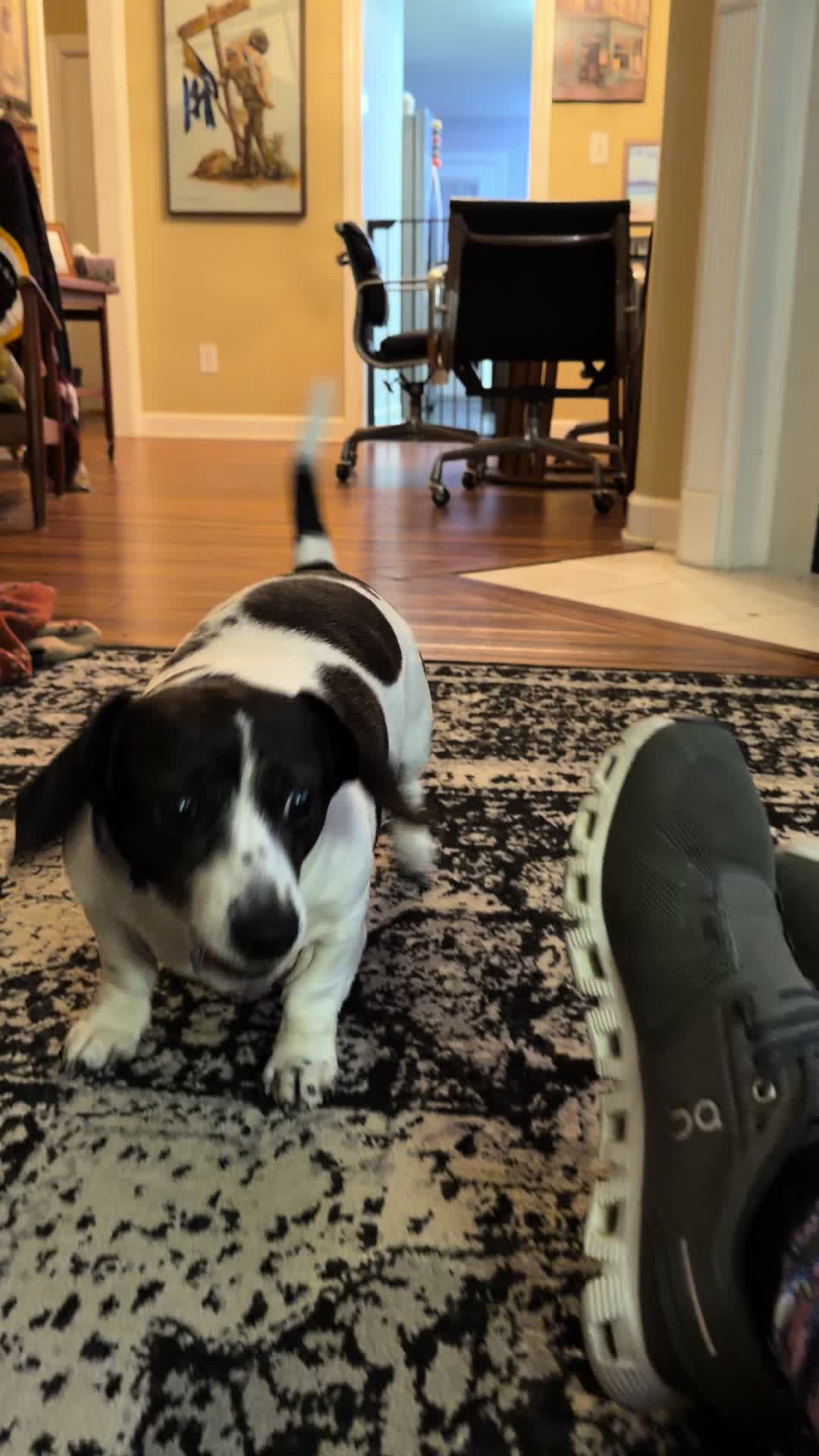 @CdeFatta59