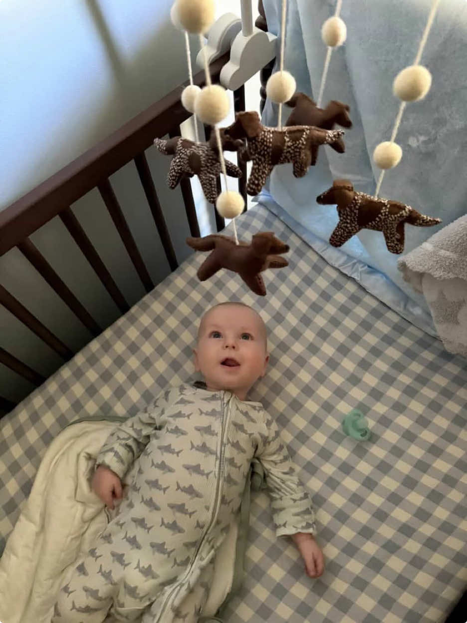 @Wonderfully Made Baby Mobiles