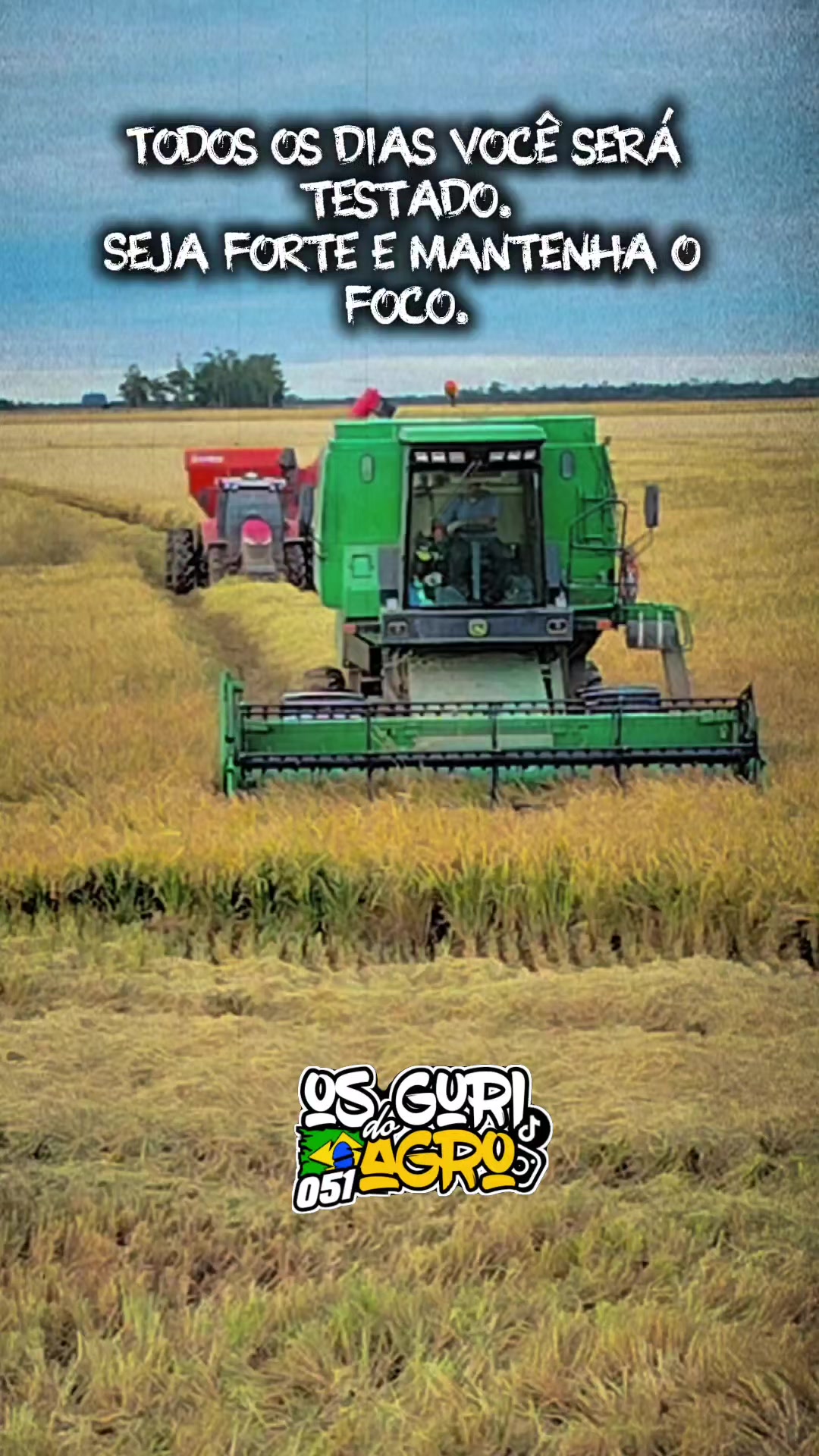 @osguridoagro051