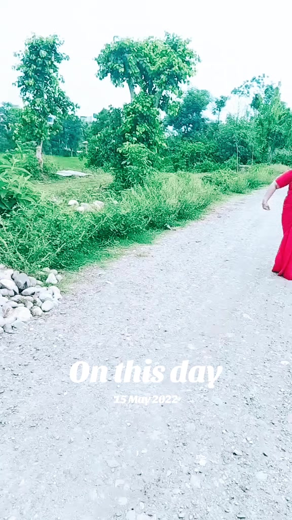 @laxmineupane0444