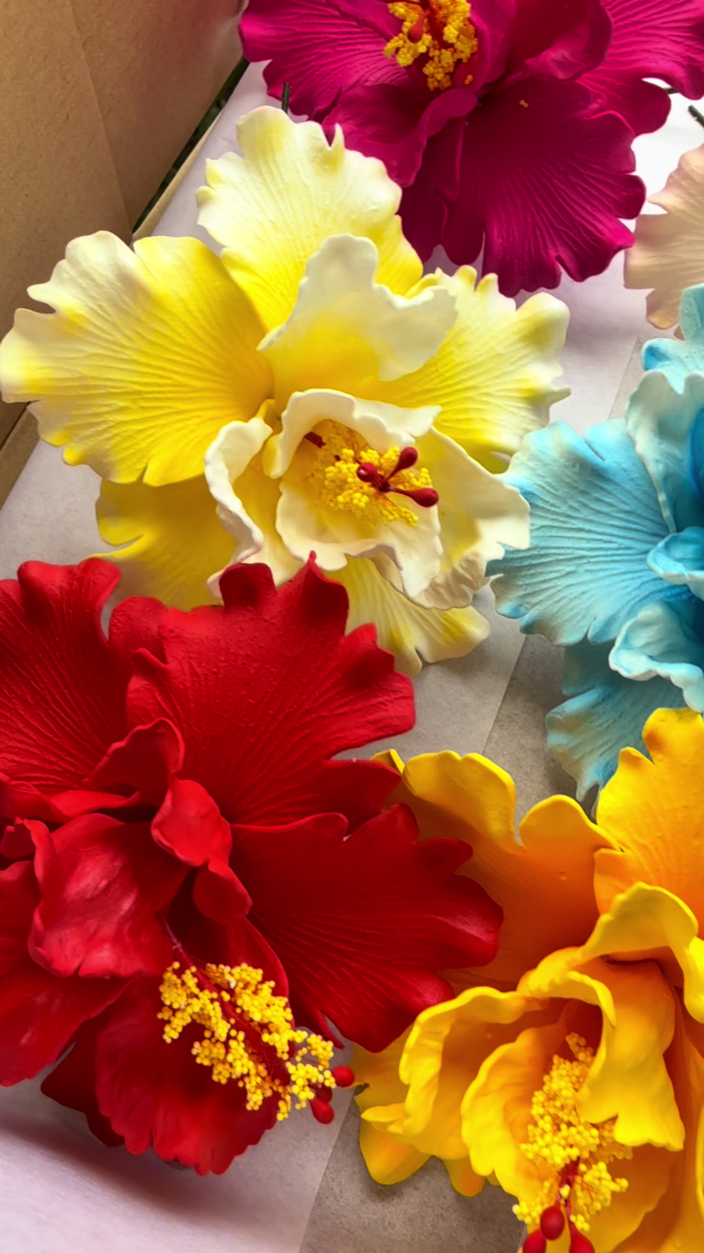 @Island Aesthetica 🌺 Pasifika