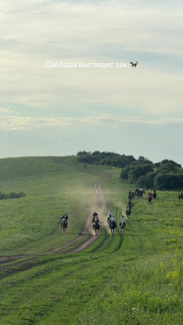 @tulpar_horses