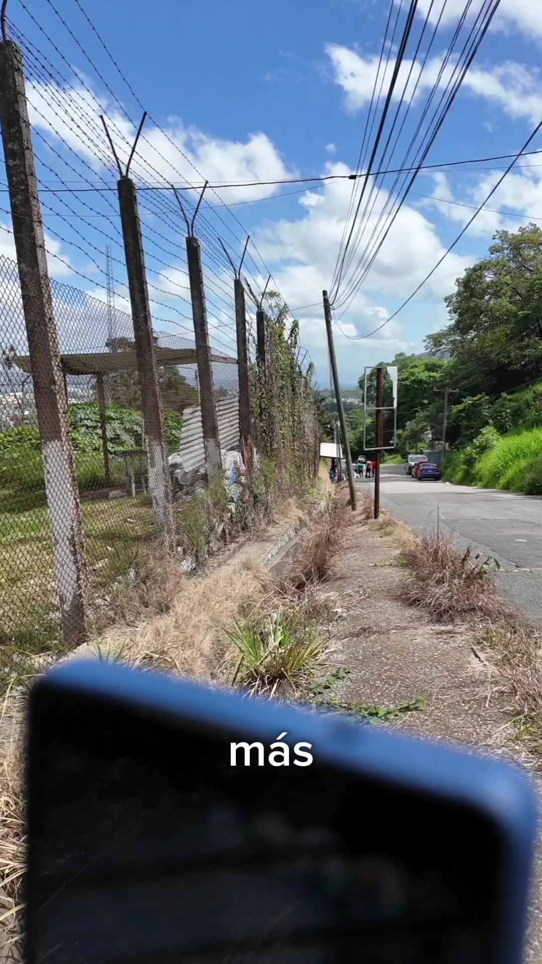 @José Chic
