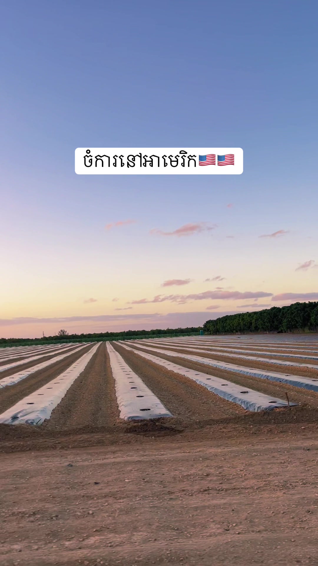 @N๐ฅ๐ฐ๐ญ๐บ๐ธ