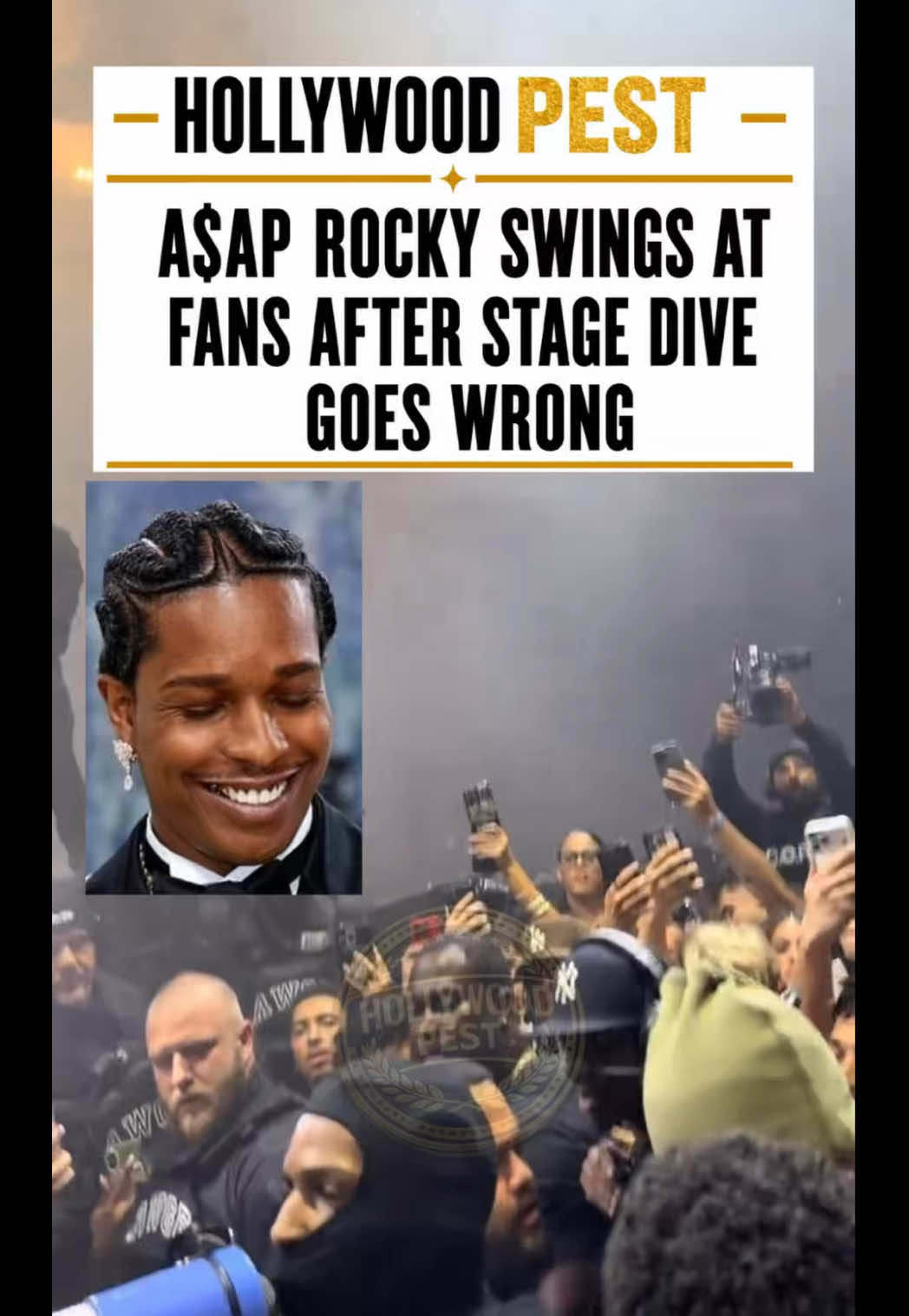 @hollywoodpest