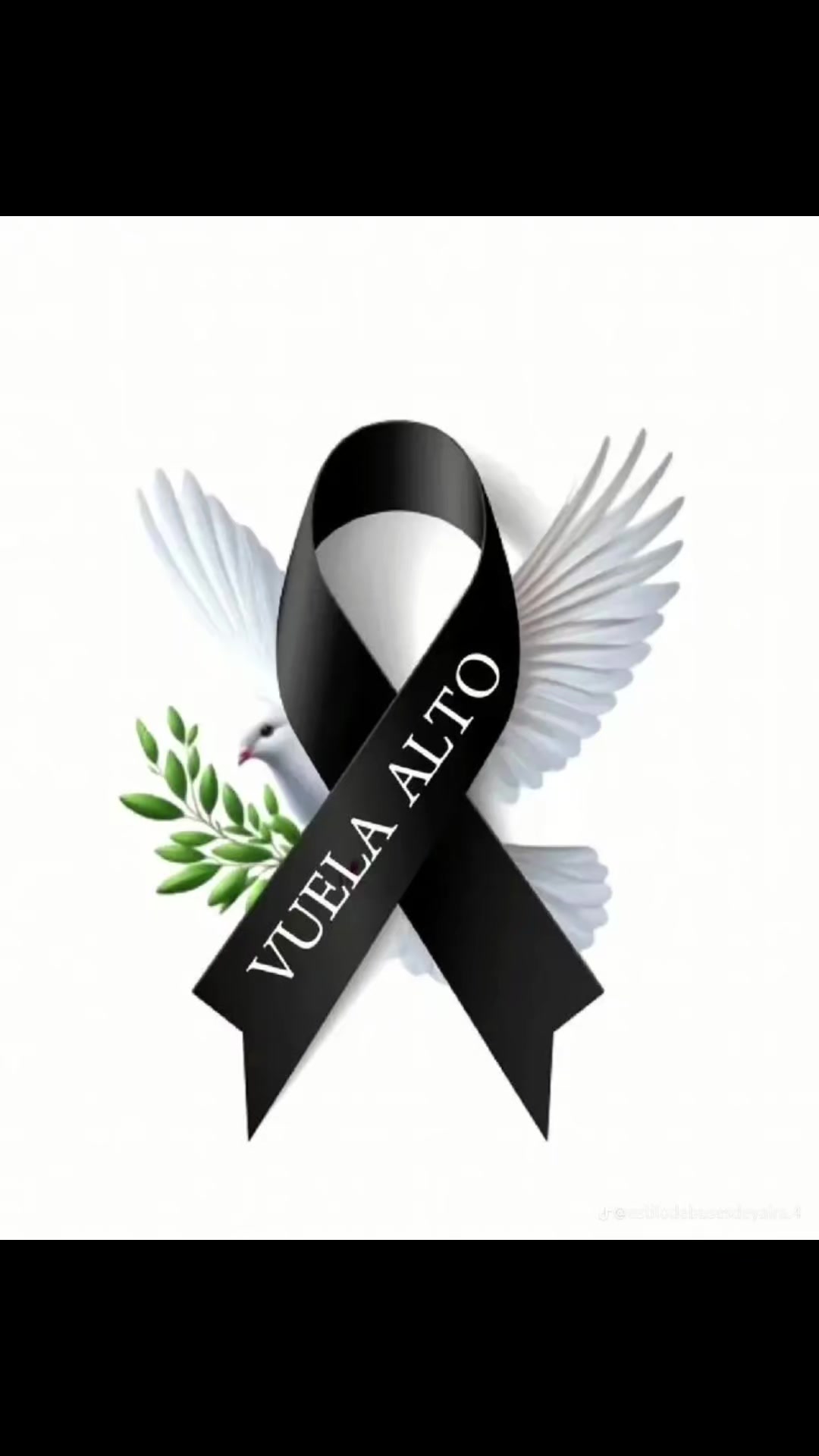 @🇵🇪𓆩kari♎️𓆪A🇧🇷🫰🐶🐈⬛