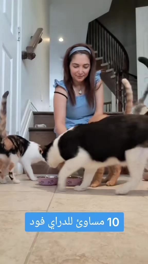 @wonderwoman Cats