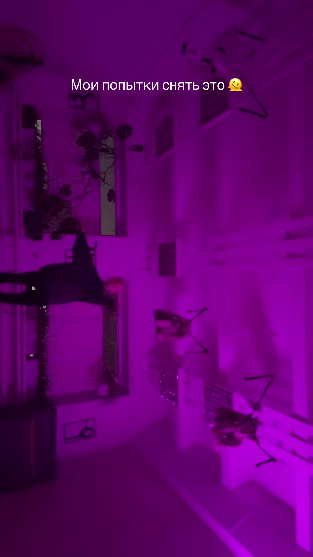 @Catuca.a🦉