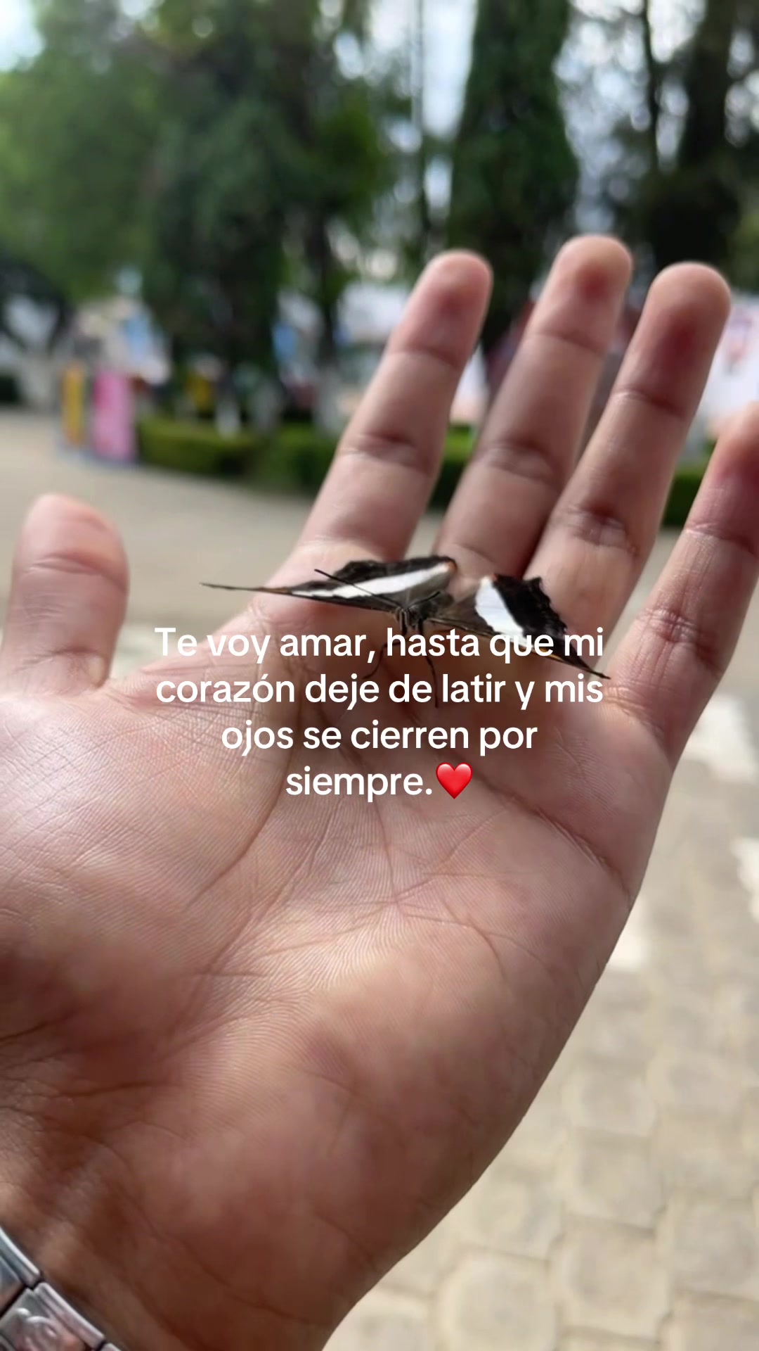 @DelAngel.