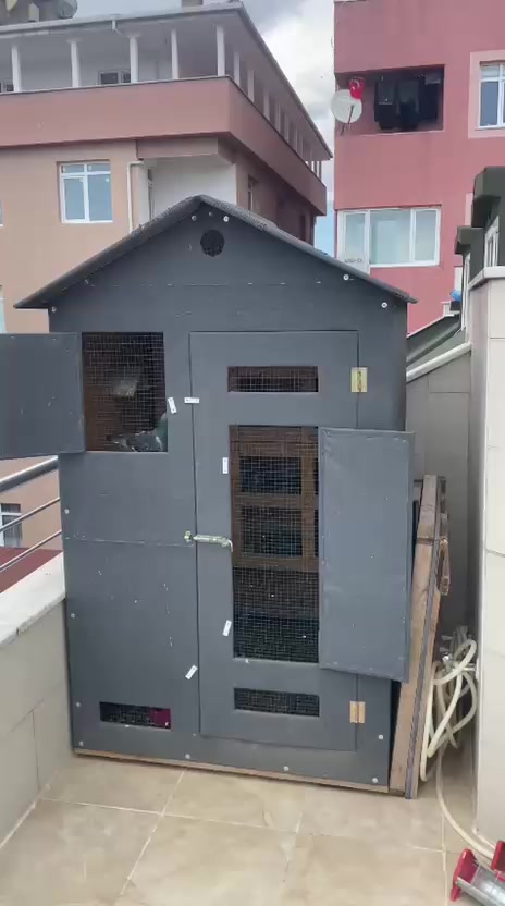 @gokhan demirci