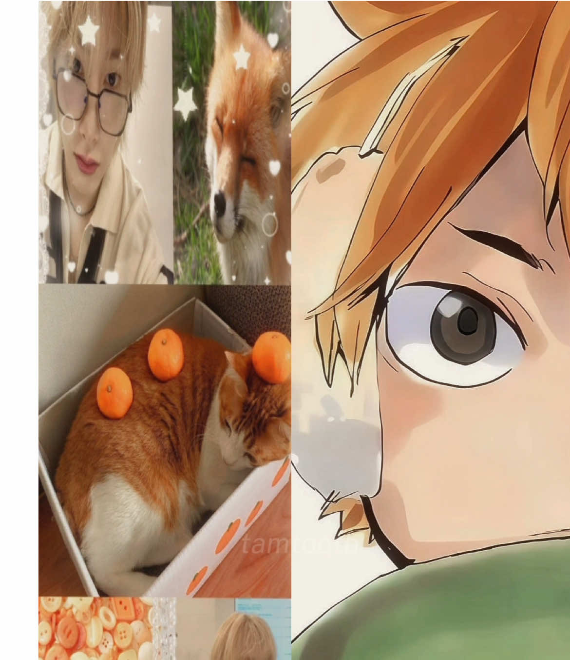 @tam ⭒ ゚。⋆