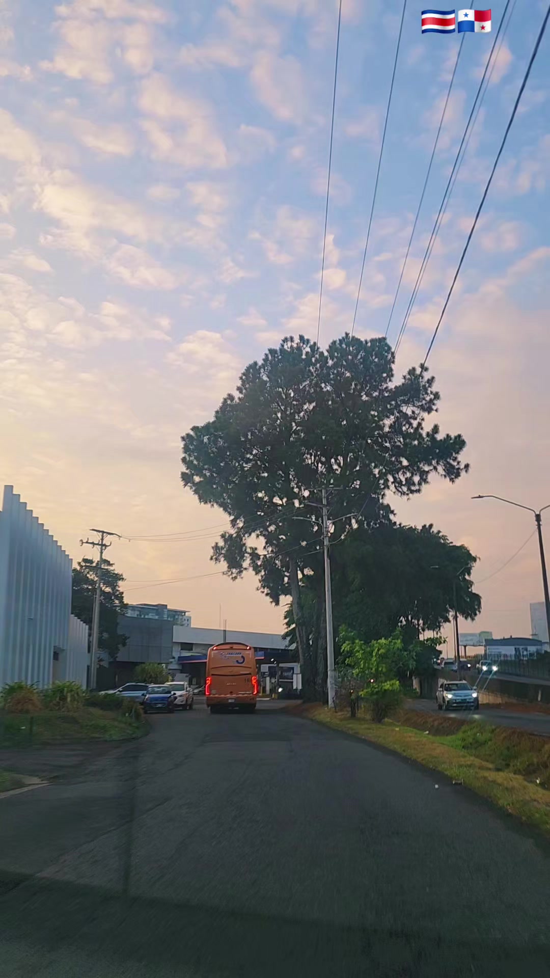 @Buses Tracopa 🇨🇷🇵🇦
