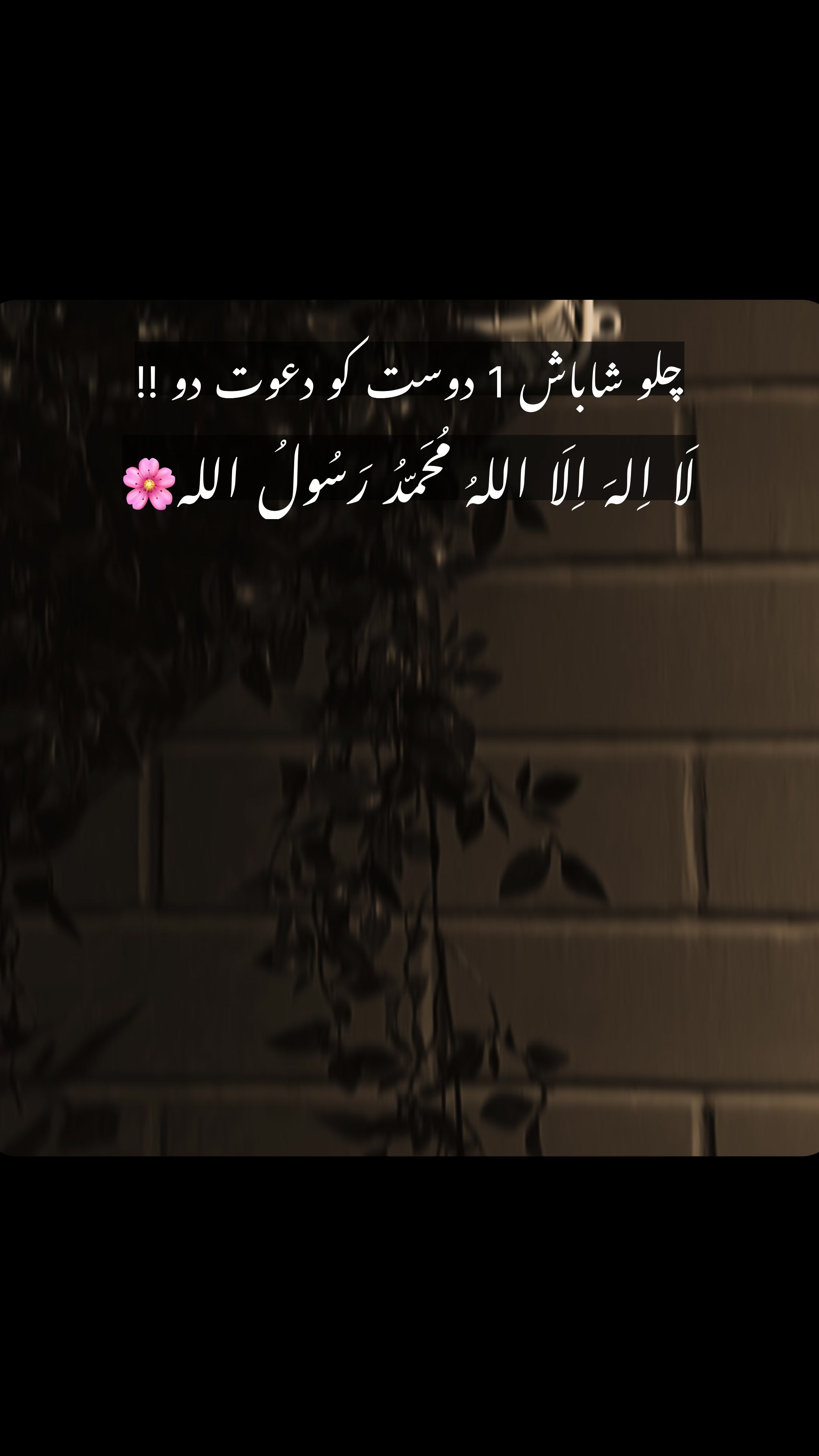 @hanzala_writes05