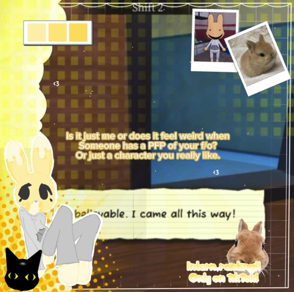 @𓂃𓂂◌🩺𝓘ntern.𝓡ants🐰◌˳𓇬