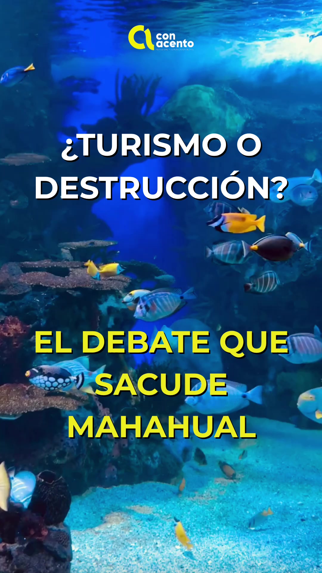 @Con Acento