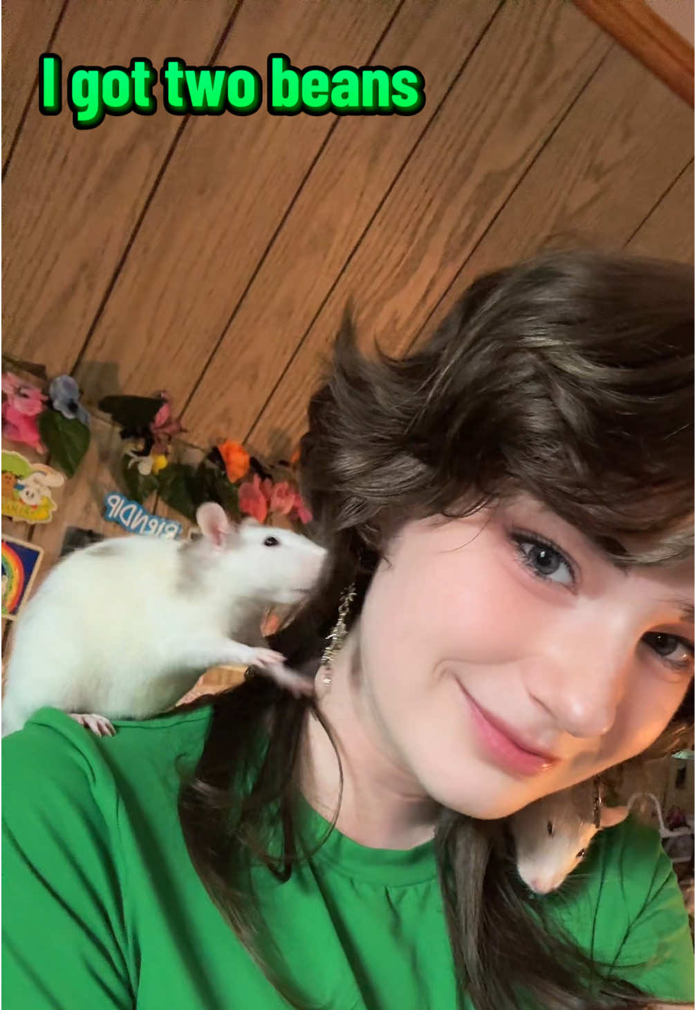 @lookatmyrodents