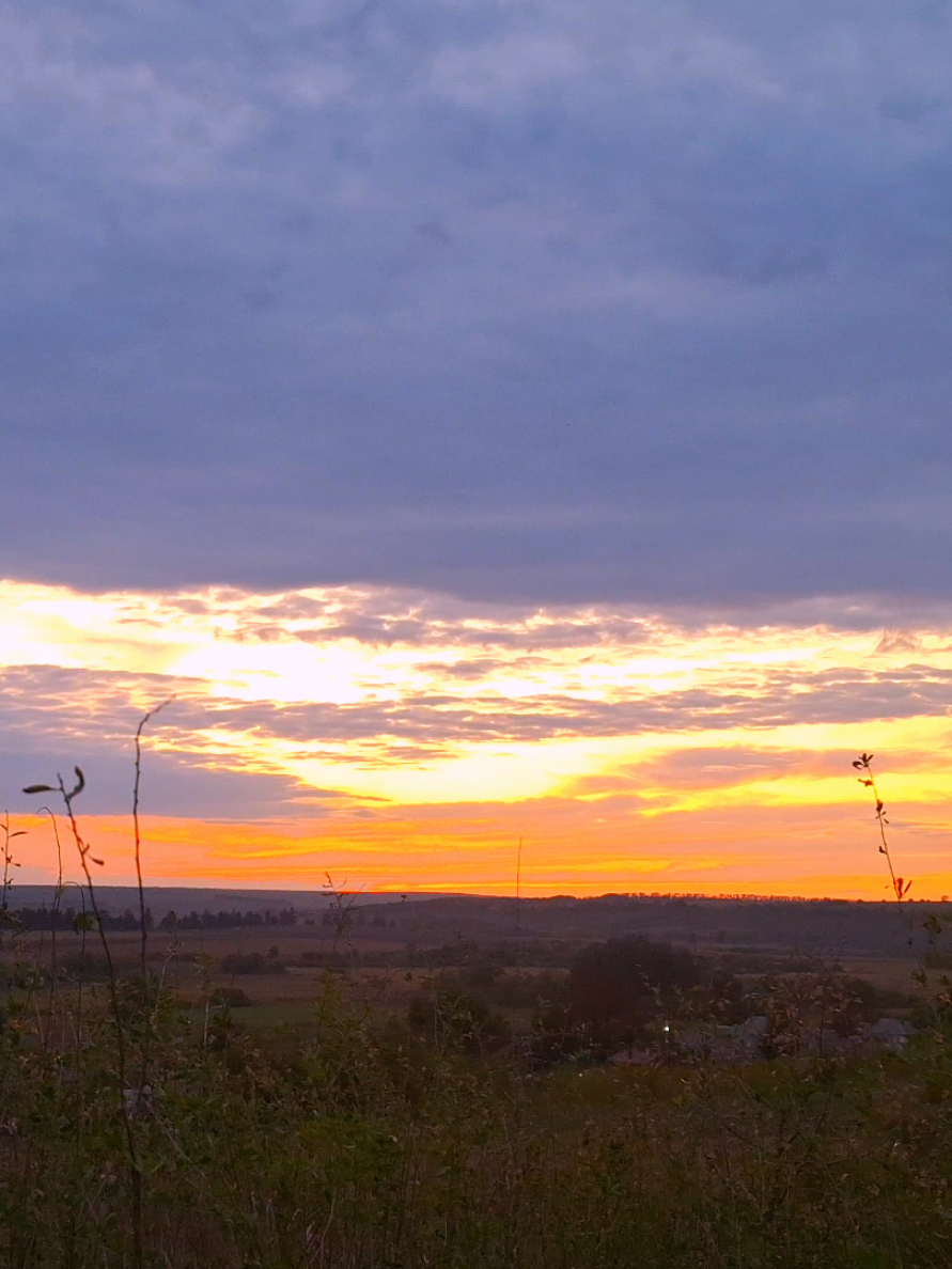 @frost