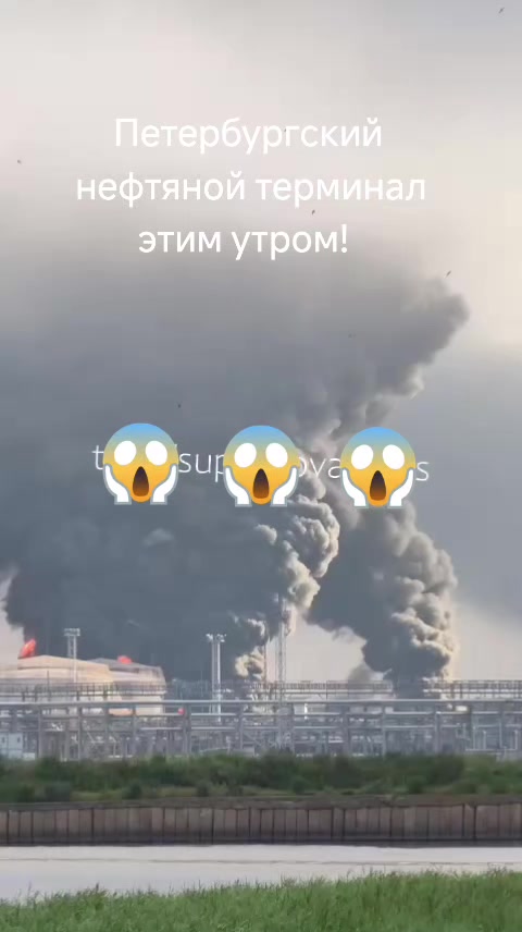 @haliina5