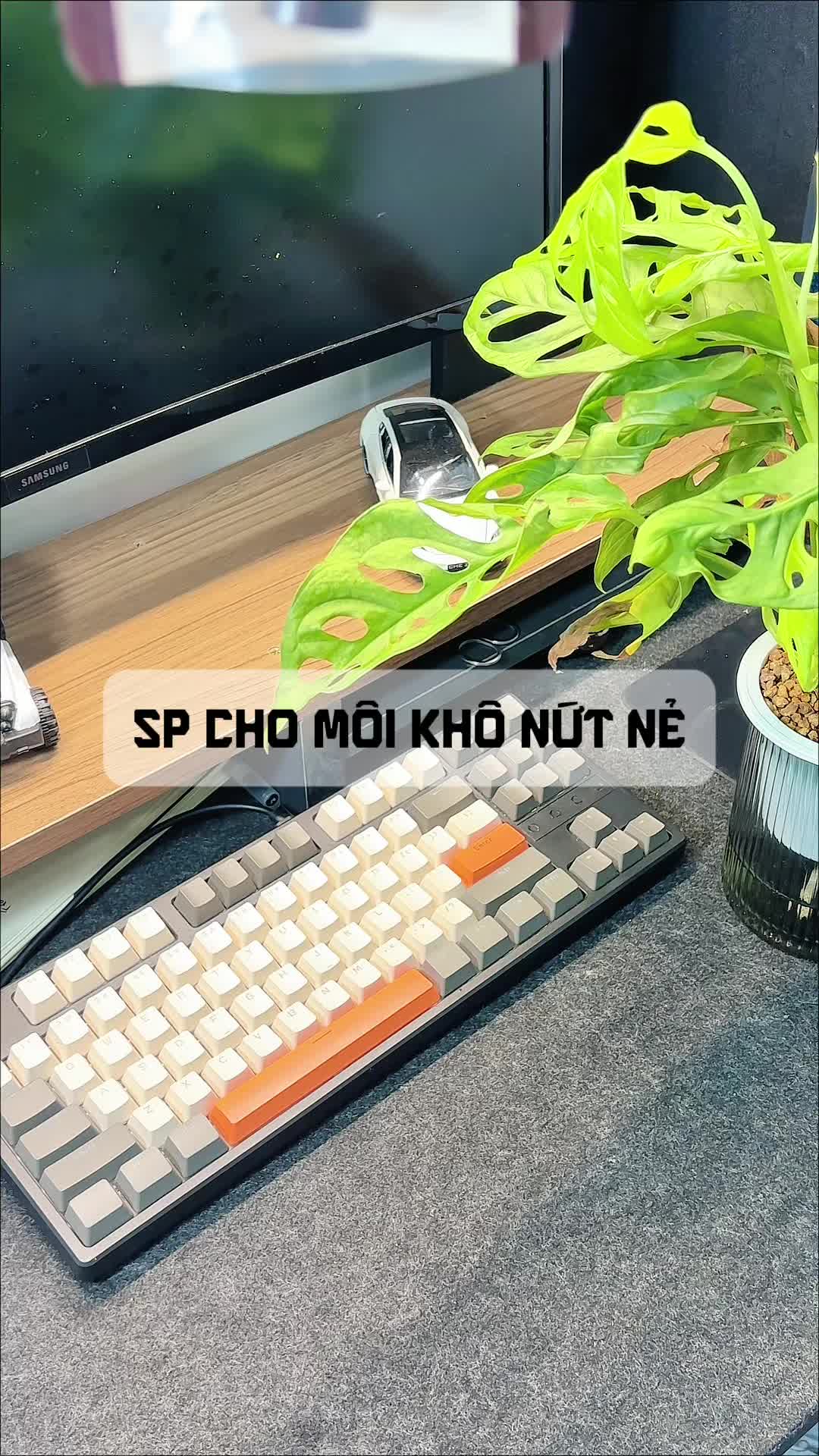 @ThowThow ✨