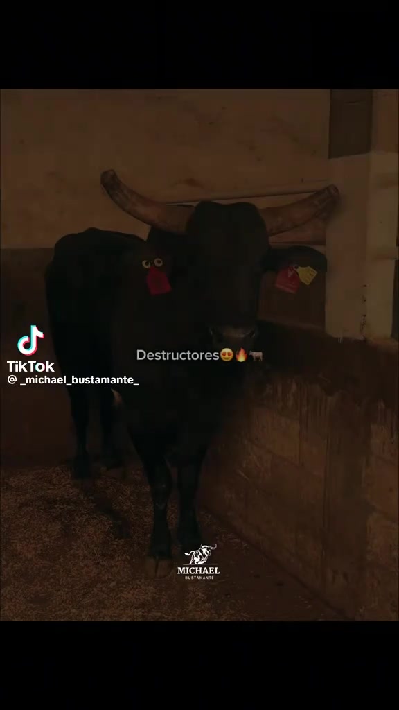 @rancho el jitomatal
