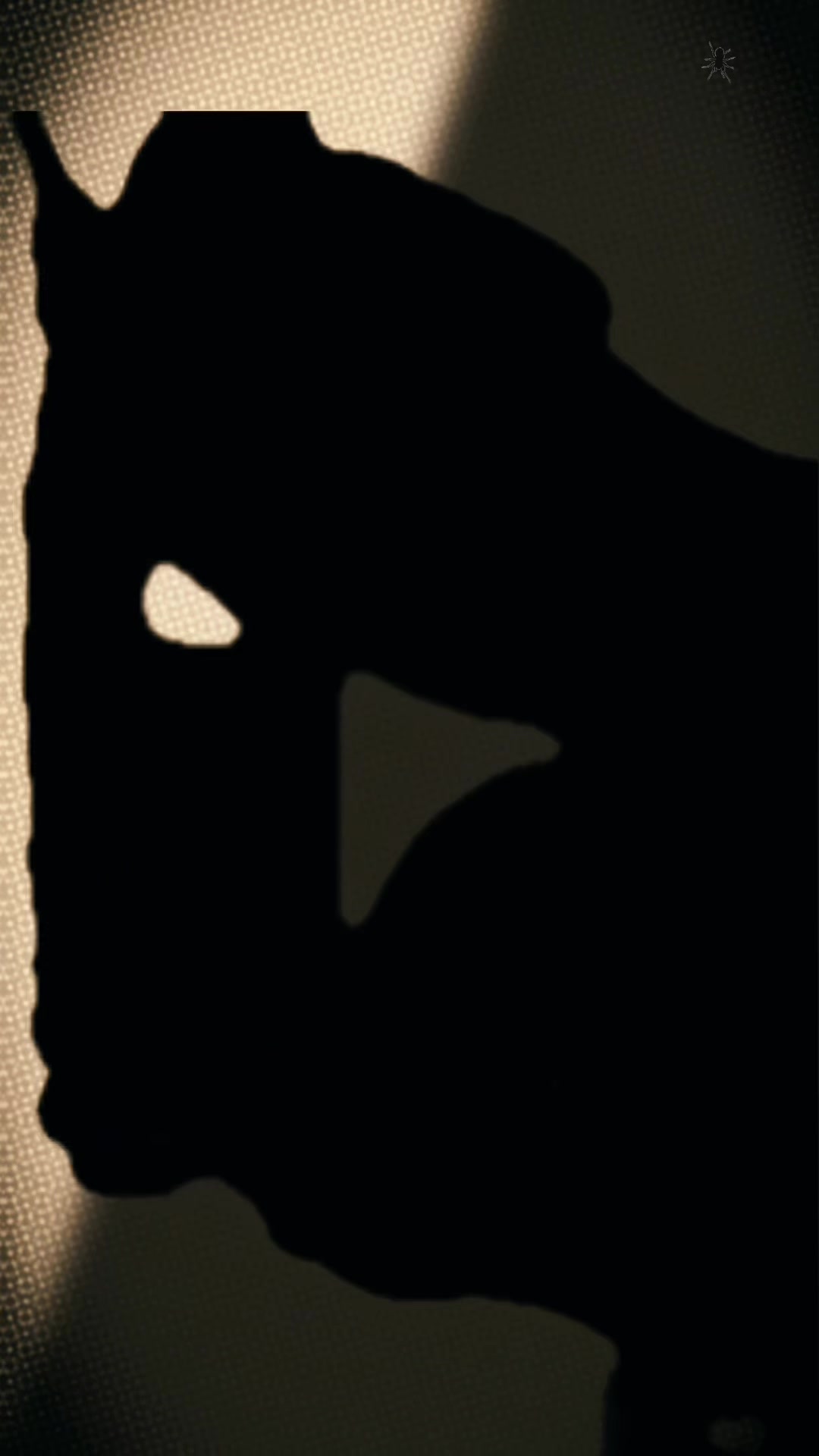 @👑🕷️Croycito.fans🕷️🔪