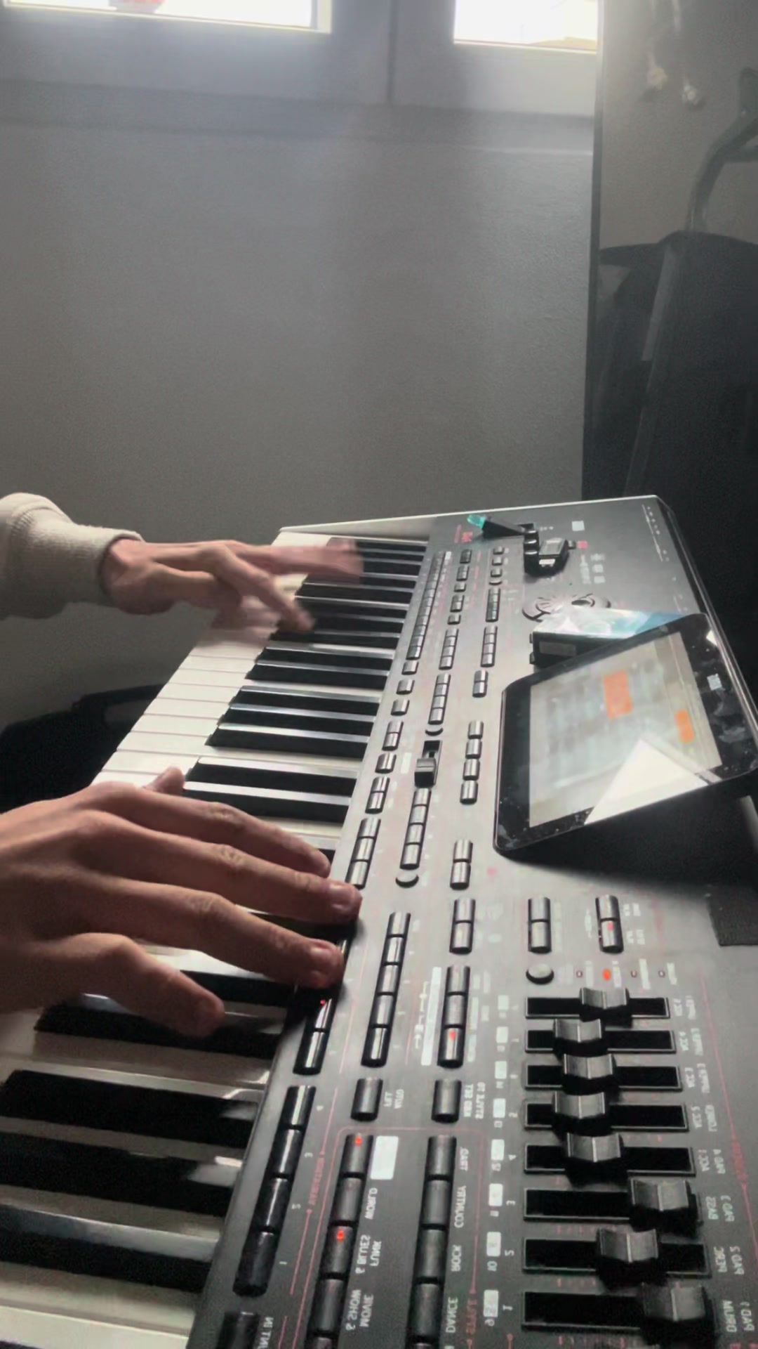 @Taraniš🎹🎸