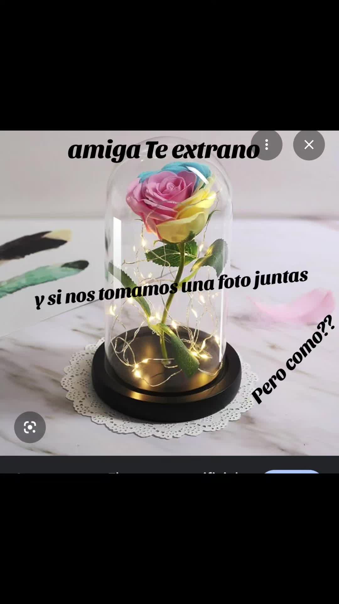 @Lesly flores