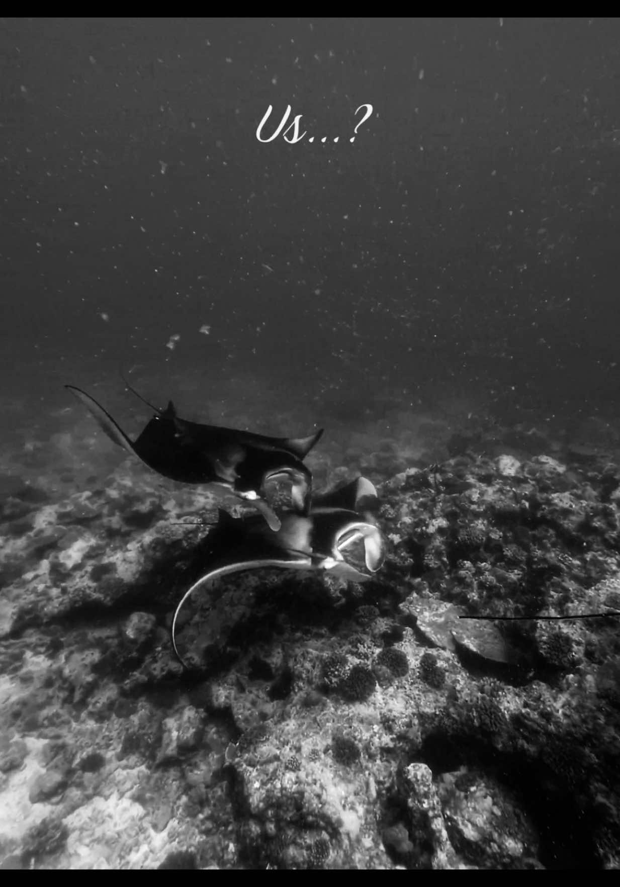 @yaasirrrrr🖤