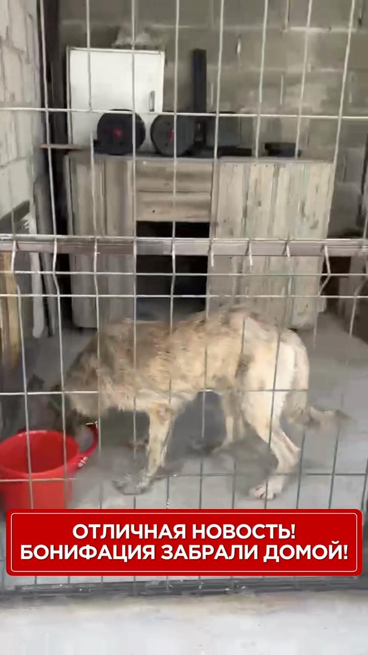 @Приют Ковчег Кыргызстан