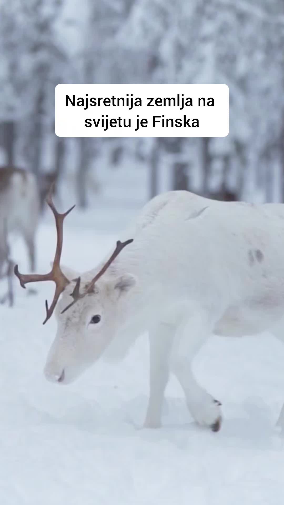 @Putoholicari