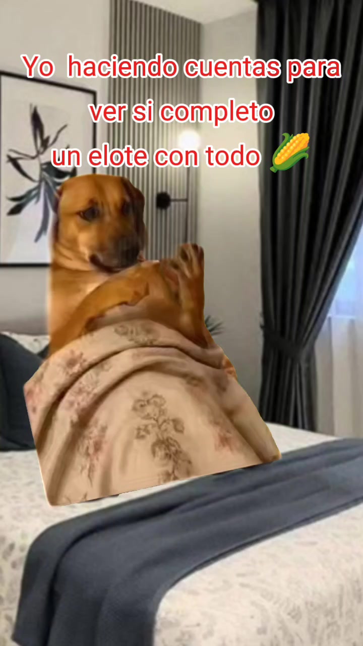 @Estela Silva
