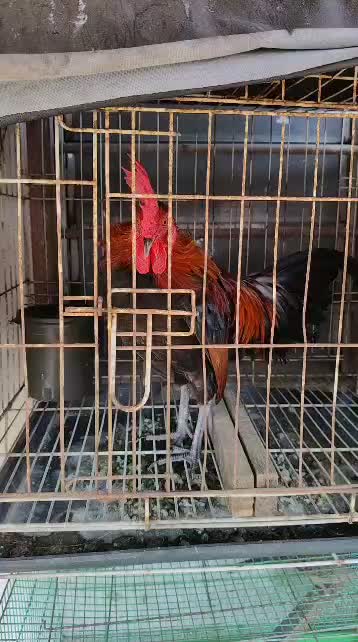 @KoPaK TT