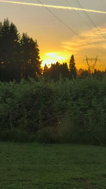 @Sharin&hearts;️🦌🌞🌛&hearts;️