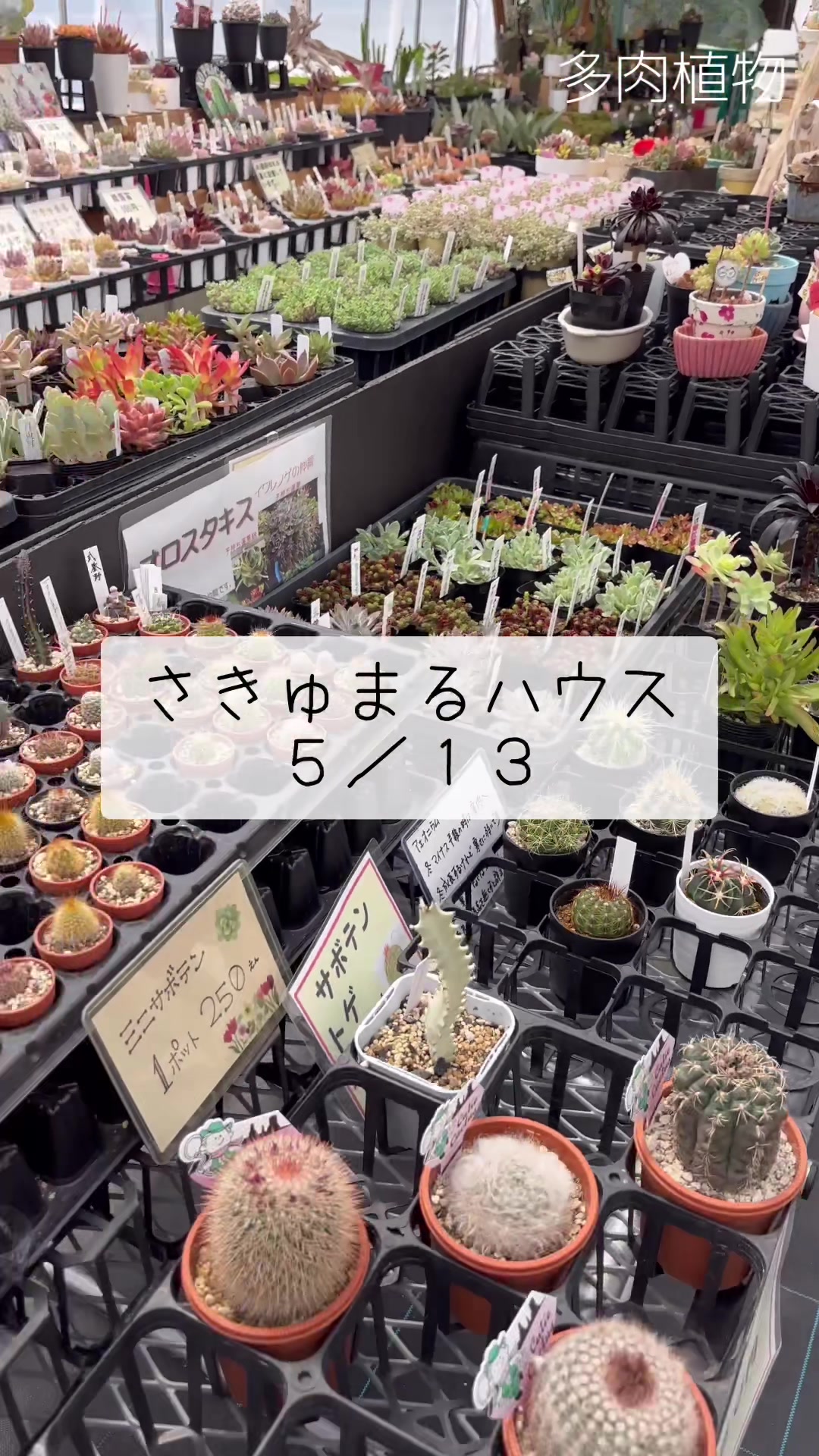 @さきゅまる～こぴとSHOP