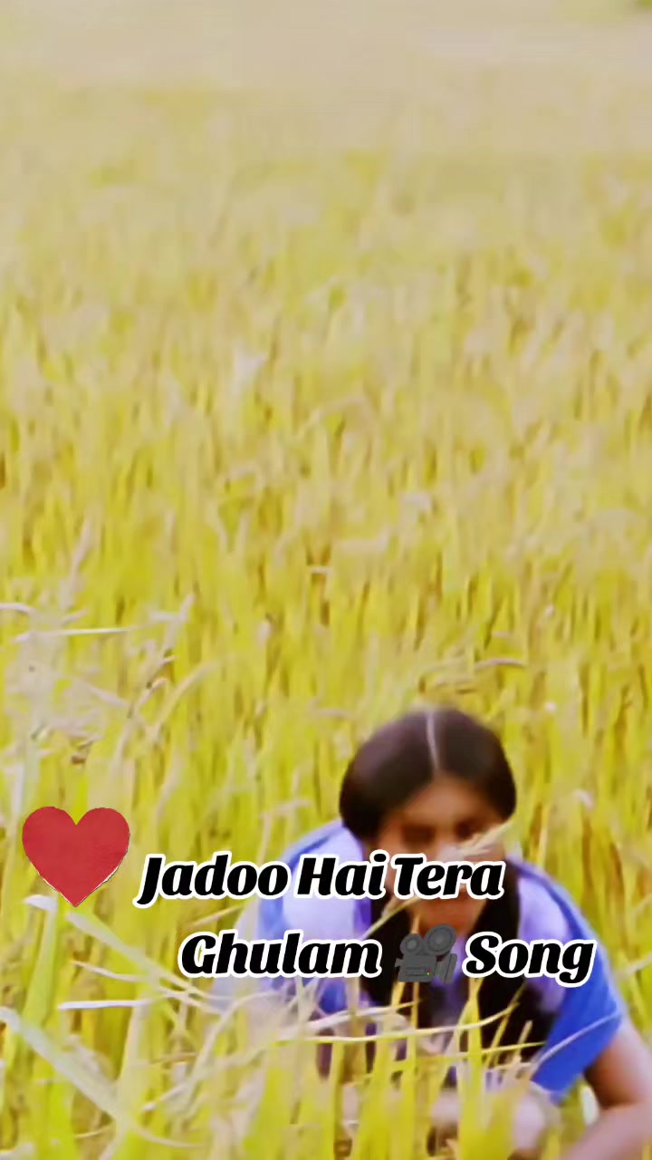 @bollywood flavour