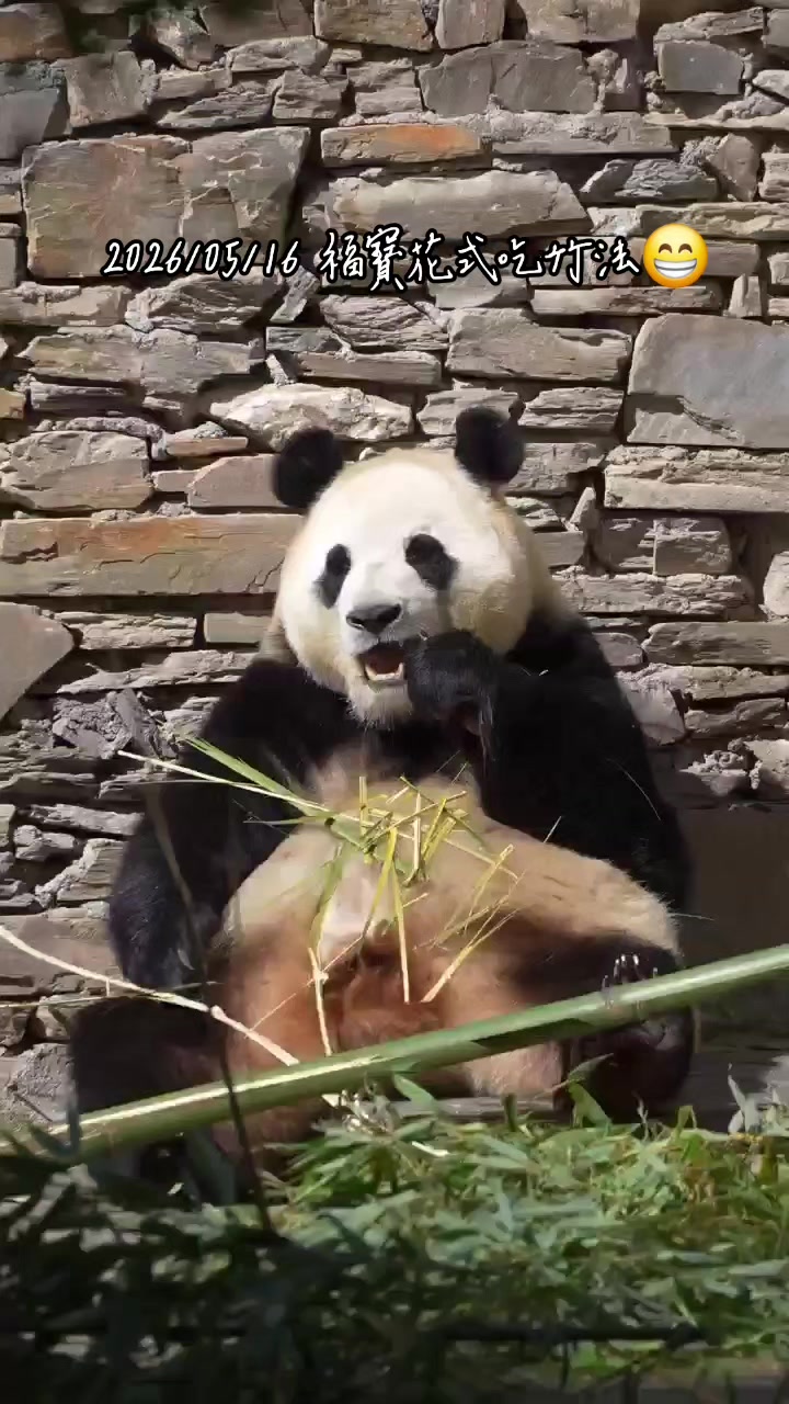 @福寶需要愛的抱抱