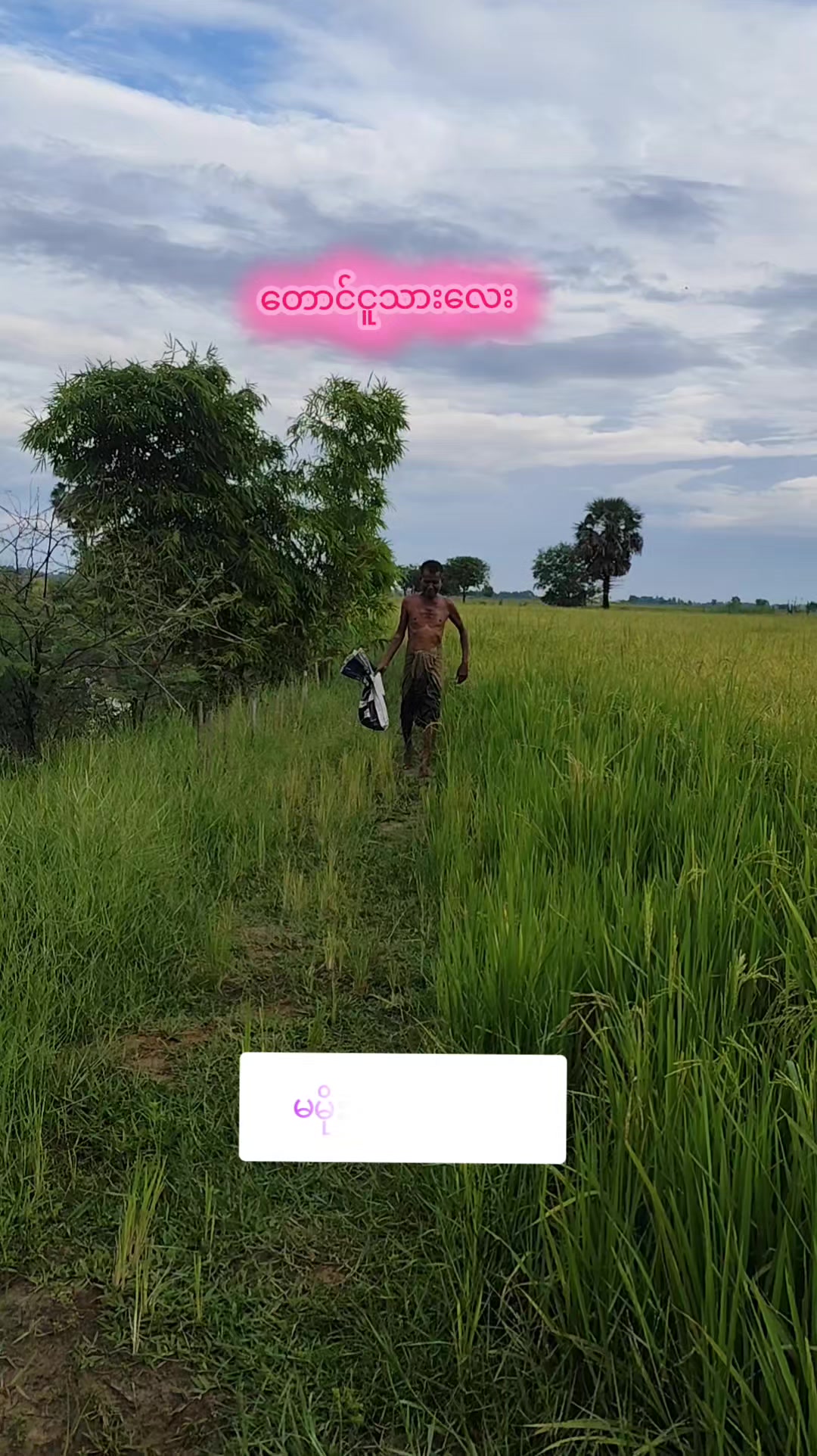 @🇲🇲နောင်လေး🇲🇲 ( TAUNGOO )