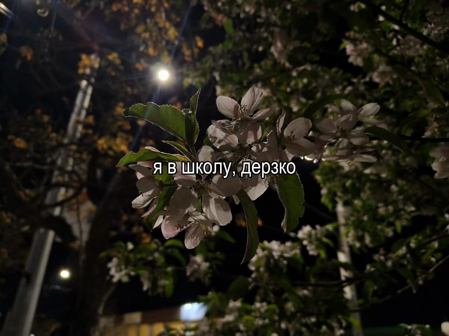 @звуки для липсингов///