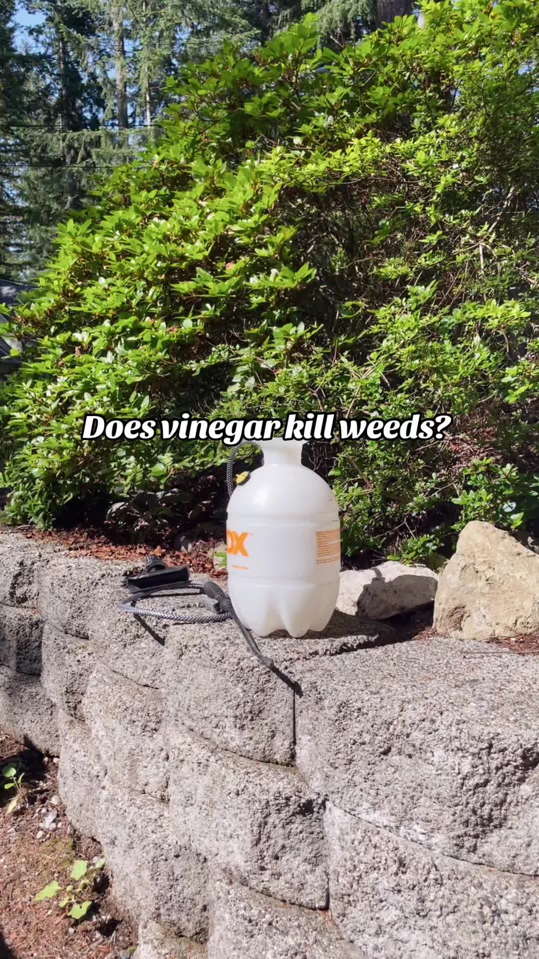 @Alli