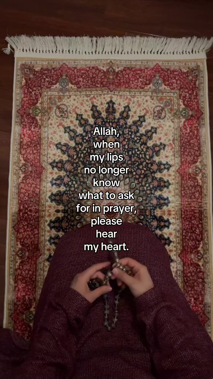 @dailyquotes